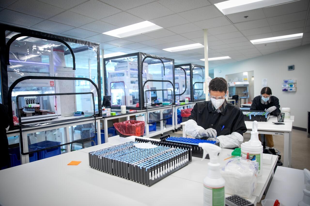Students working in a lab
