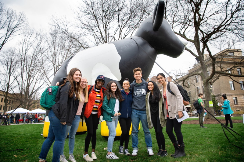 Students posing on Ag Quad in front of an inflatable cow